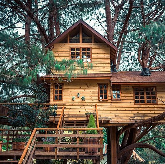 Questa casa sull'albero di lusso costa 5 mila euro, la metti dove vuoi e ti  svolta le vacanze 2022