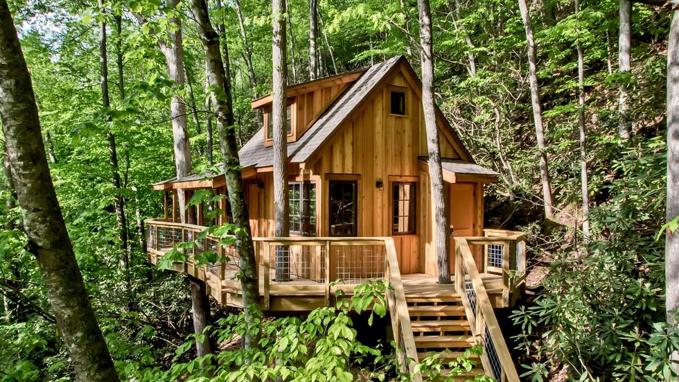 This Treehouse Grove in Tennessee is the Perfect Socially-Distant ...