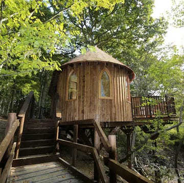 treehouse holidays