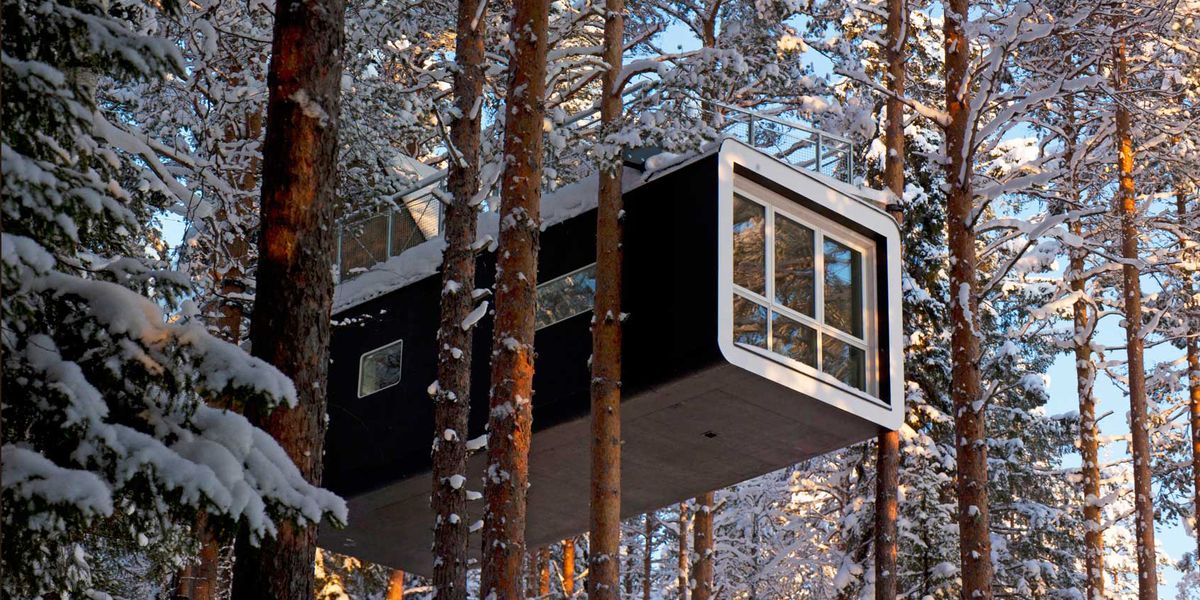 Treehouse hotels
