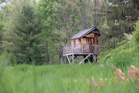 treehouse