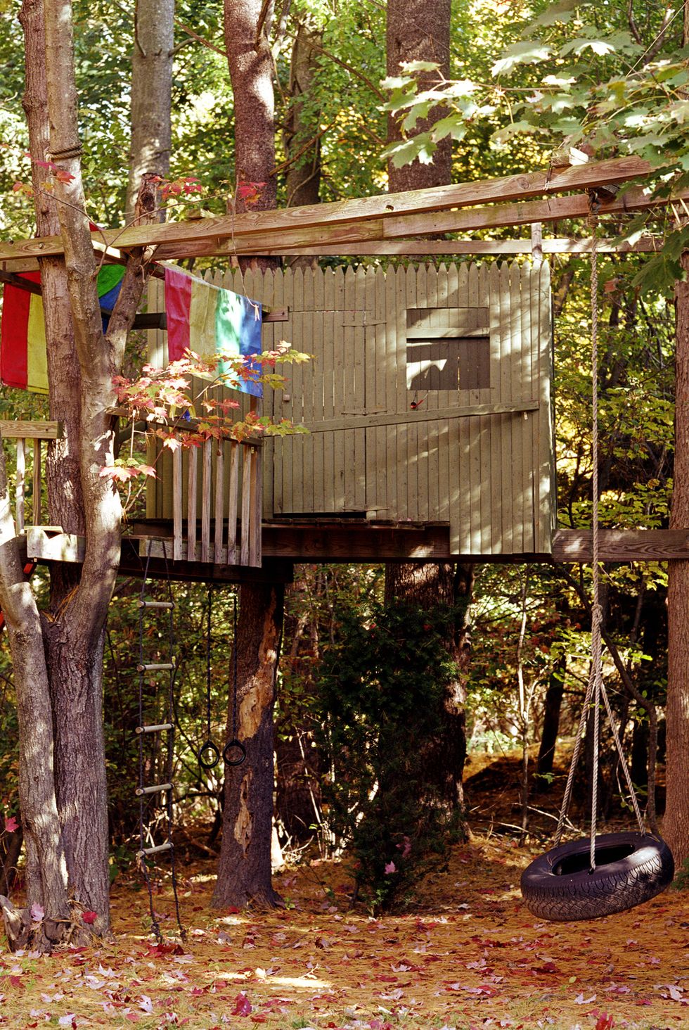 Treehouse in backyard with swing, autumn