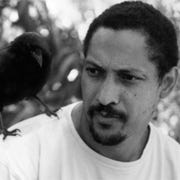 the trees, percival everett the trees, percival everett
