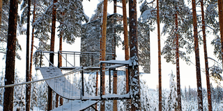 mirrored box treehouse in snowy forest