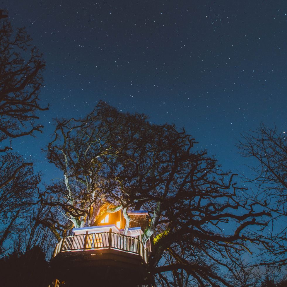 Treetops Treehouse - Devon - night - Canopy & Stars