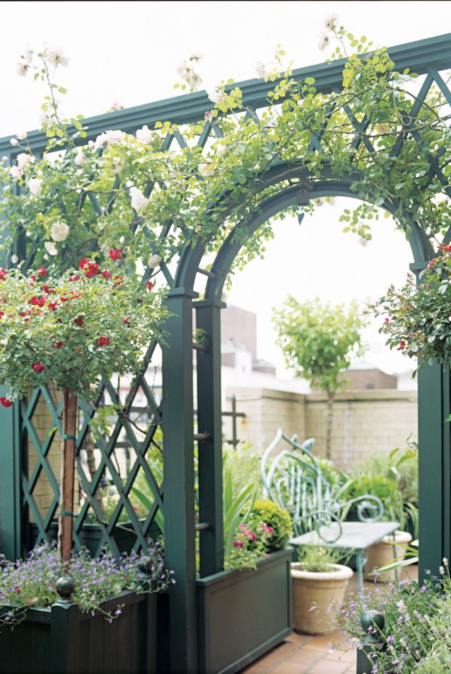 How to make a pretty wire trellis for your garden