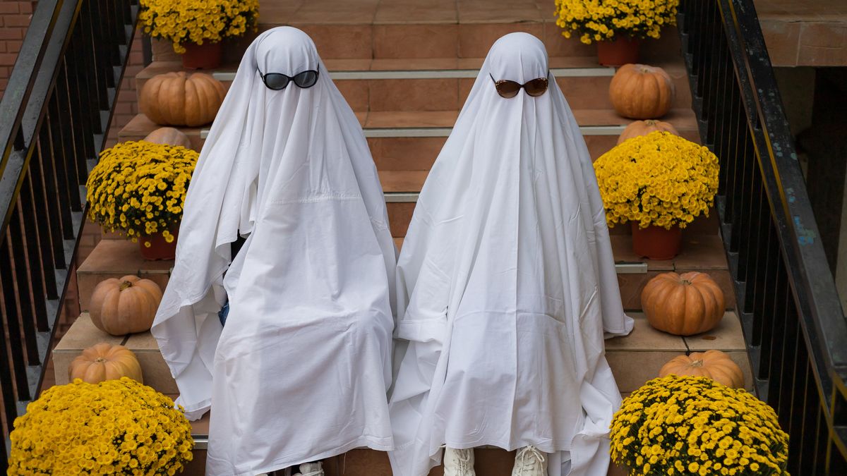 45 Easy DIY Halloween Costumes For Women  Diy halloween costumes for  women, Diy costumes women, Costumes for women