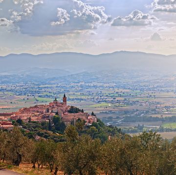trevi, perugia, umbria, italy landscape with the ancient hill town and olive trees