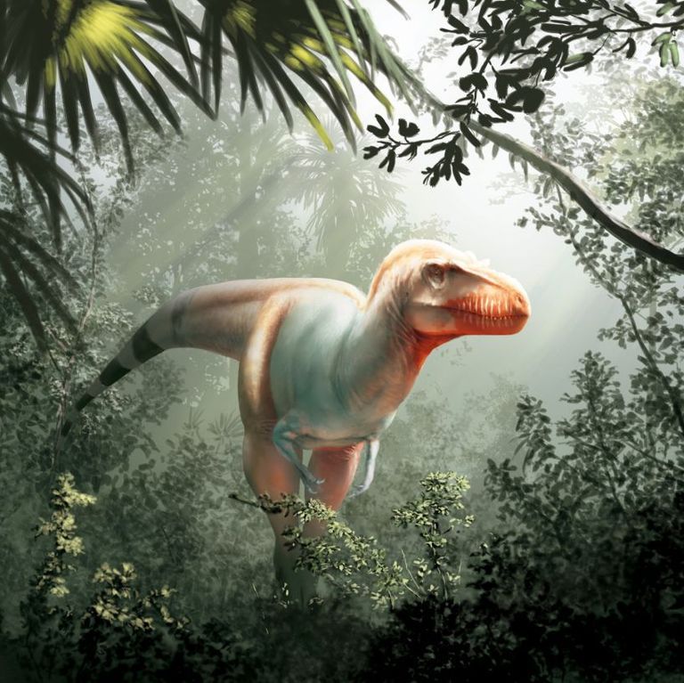 A Newfound Tiny-Armed, Large-Headed Dino Reminds Us of T. Rex