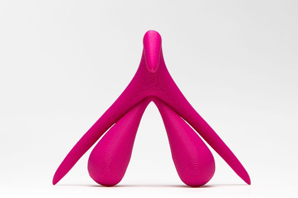 a model of the clitoris