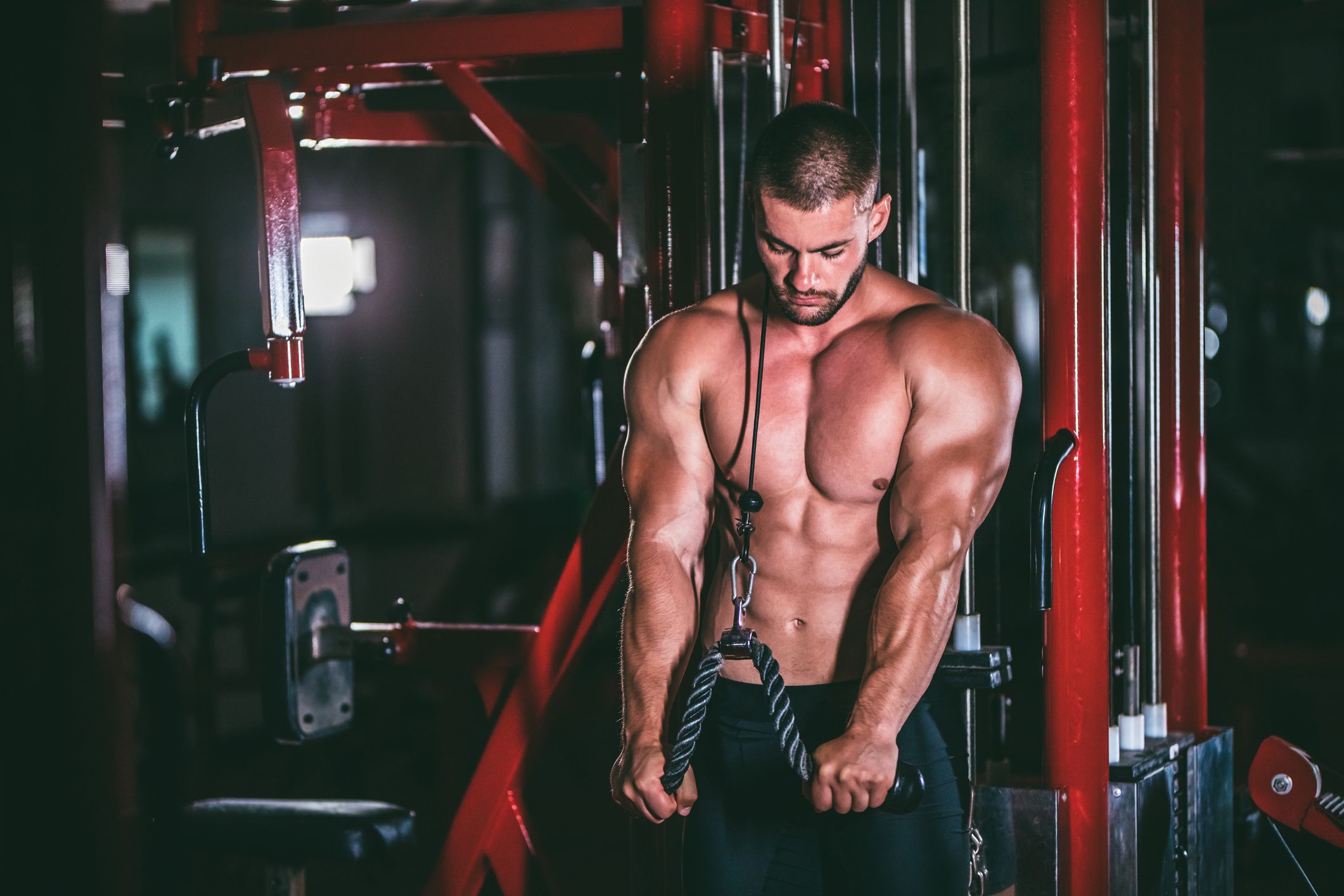 11 BEST Tricep Workout For Men in 2019, XtremeNoDirect.com