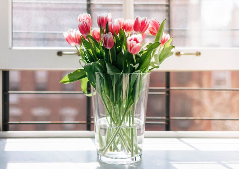 How to stop tulips from drooping
