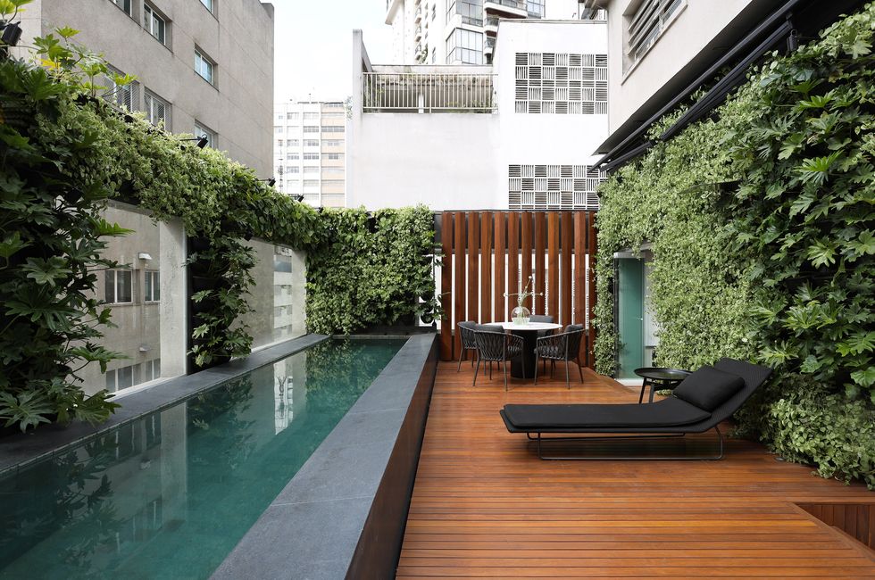 terraza con piscina y jardines verticales alrededor