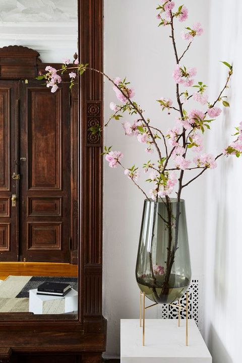 Flower, Plant, Vase, Room, Branch, Twig, Furniture, Interior design, Spring, Blossom, 