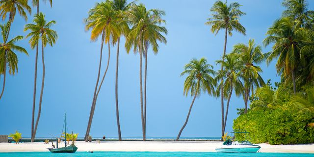 Tropical Island in the Maldives