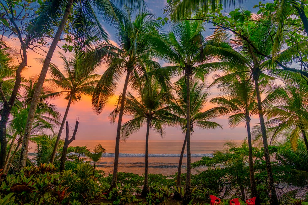 tropical sunset, beach, corcovado national park, costa rica