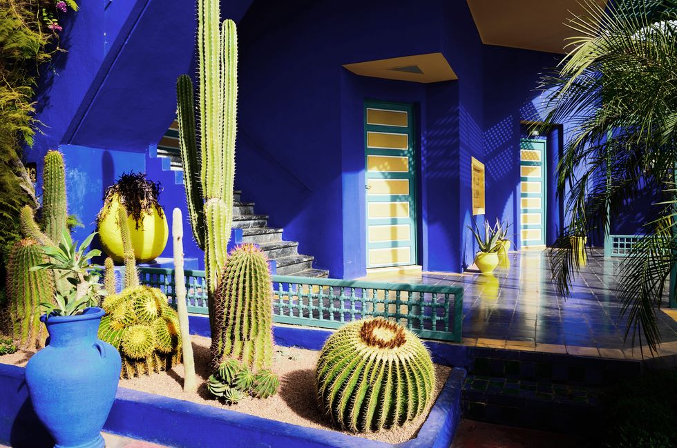 Majorelle blue, Cactus, Blue, Plant, San Pedro cactus, Architecture, Real estate, Flower, Building, House, 