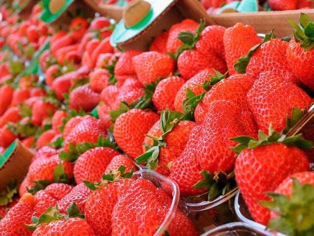 fresas