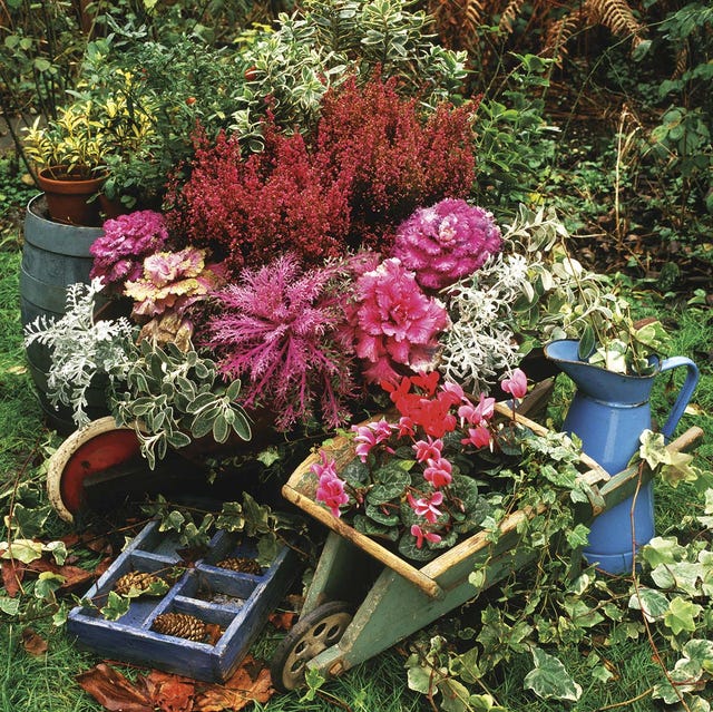 Jardinería de invierno