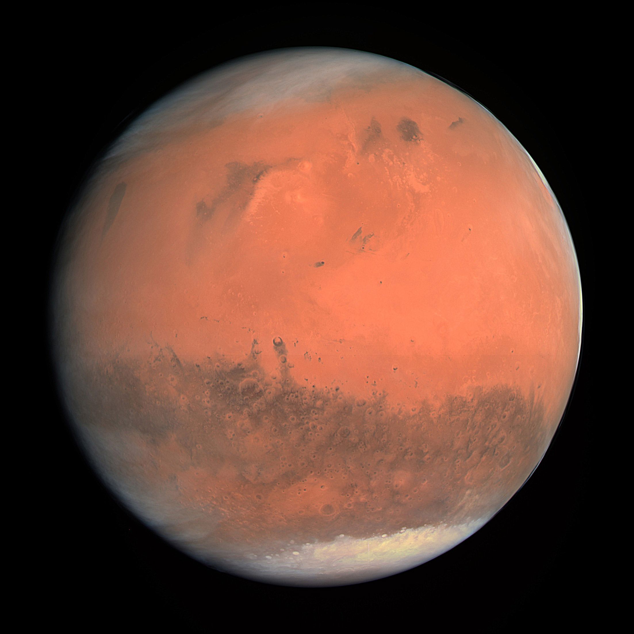 life on planet mars