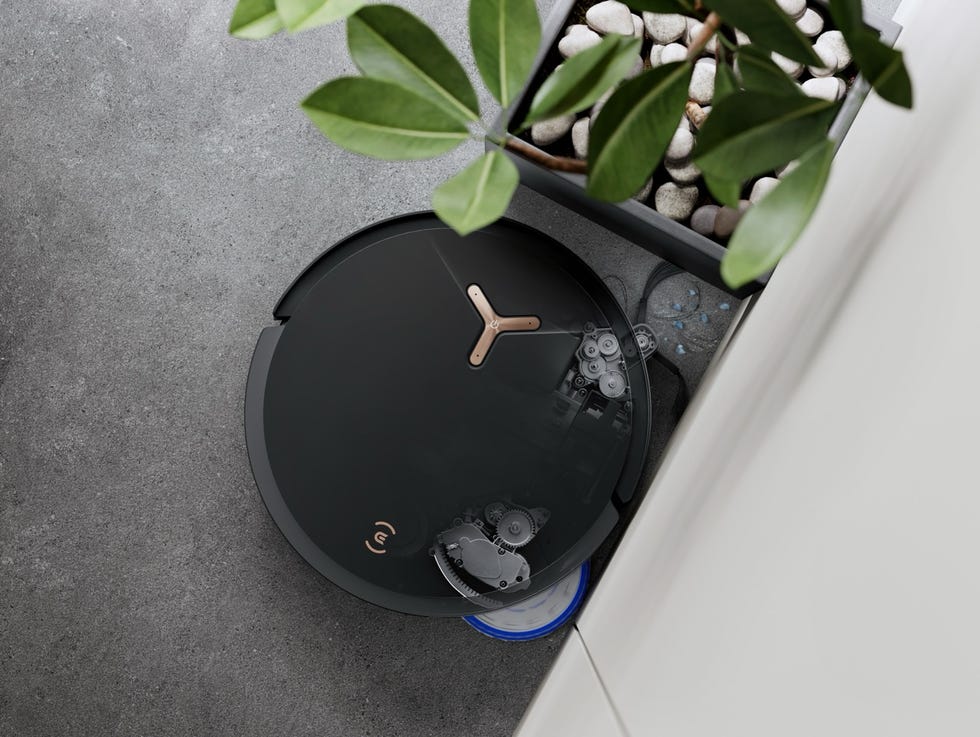 robot vacuum cleaner near a potted plant and a wall
