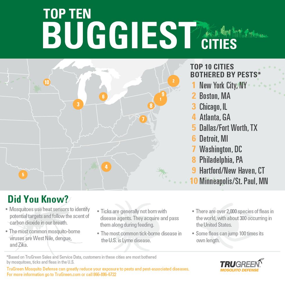 trugreen infograpic 10 most bug filled cities