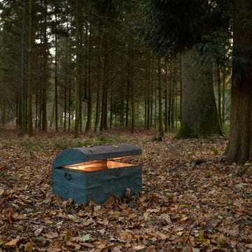 Trunk in woodland with glow inside. trunk in woodland with glow inside