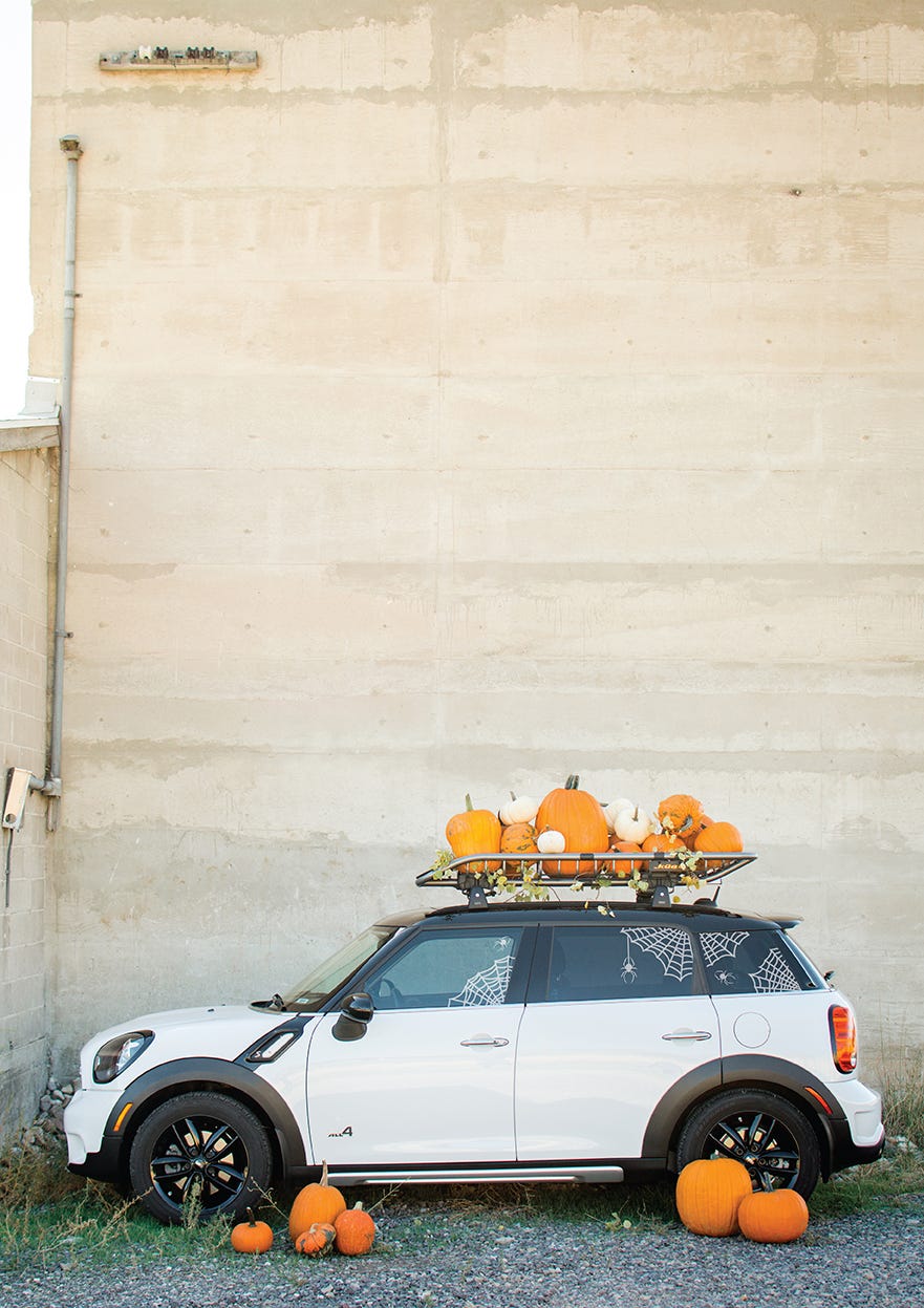 pumpkin patch car and spider web decals