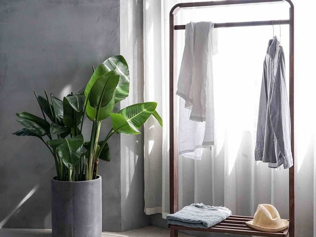 Flowerpot, Houseplant, Room, Curtain, Vase, Interior design, Plant, Textile, Furniture, Linens, 