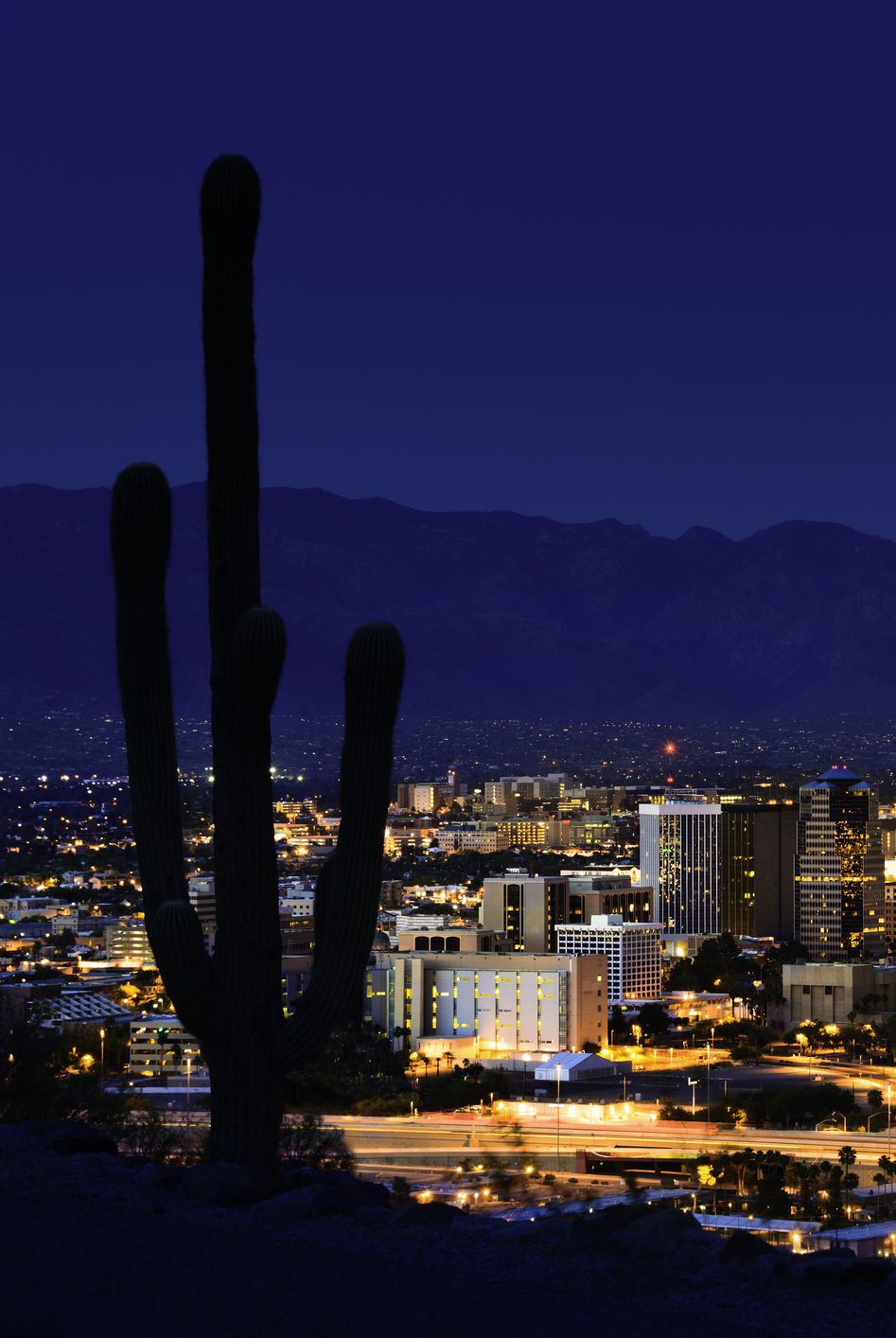tucson arizona at night framed by saguaro cactus and mountains