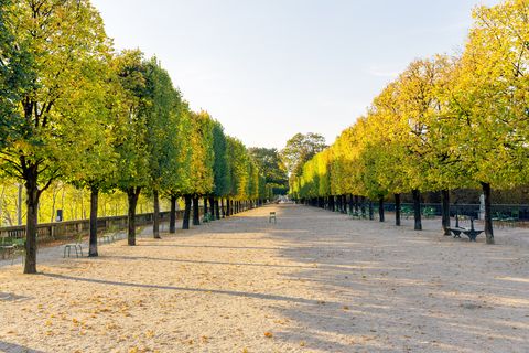 tuileries garden in paris, france