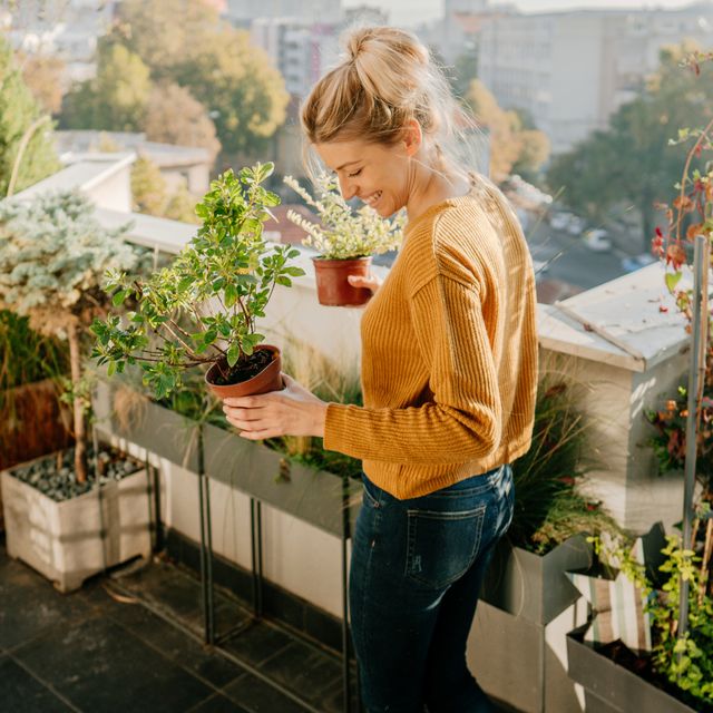 tuinieren duurzaam tuin balkon