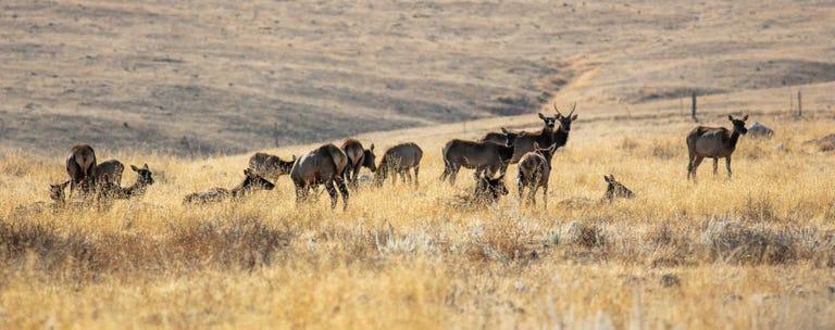 Rounding the Horn