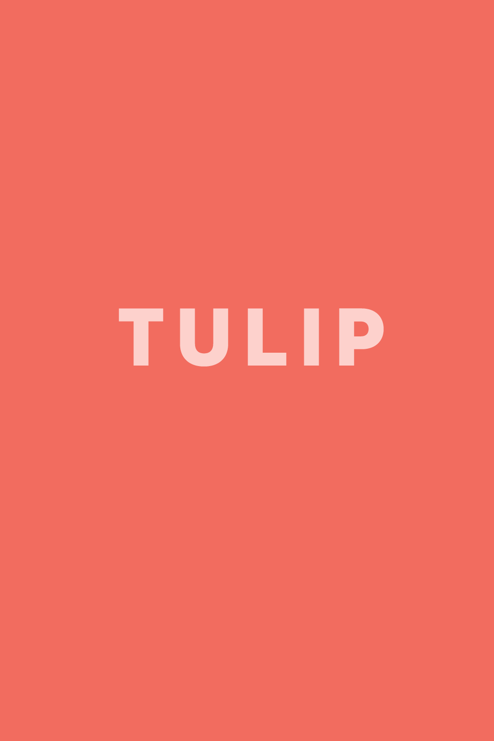 Tulip - Surprising Word Origins