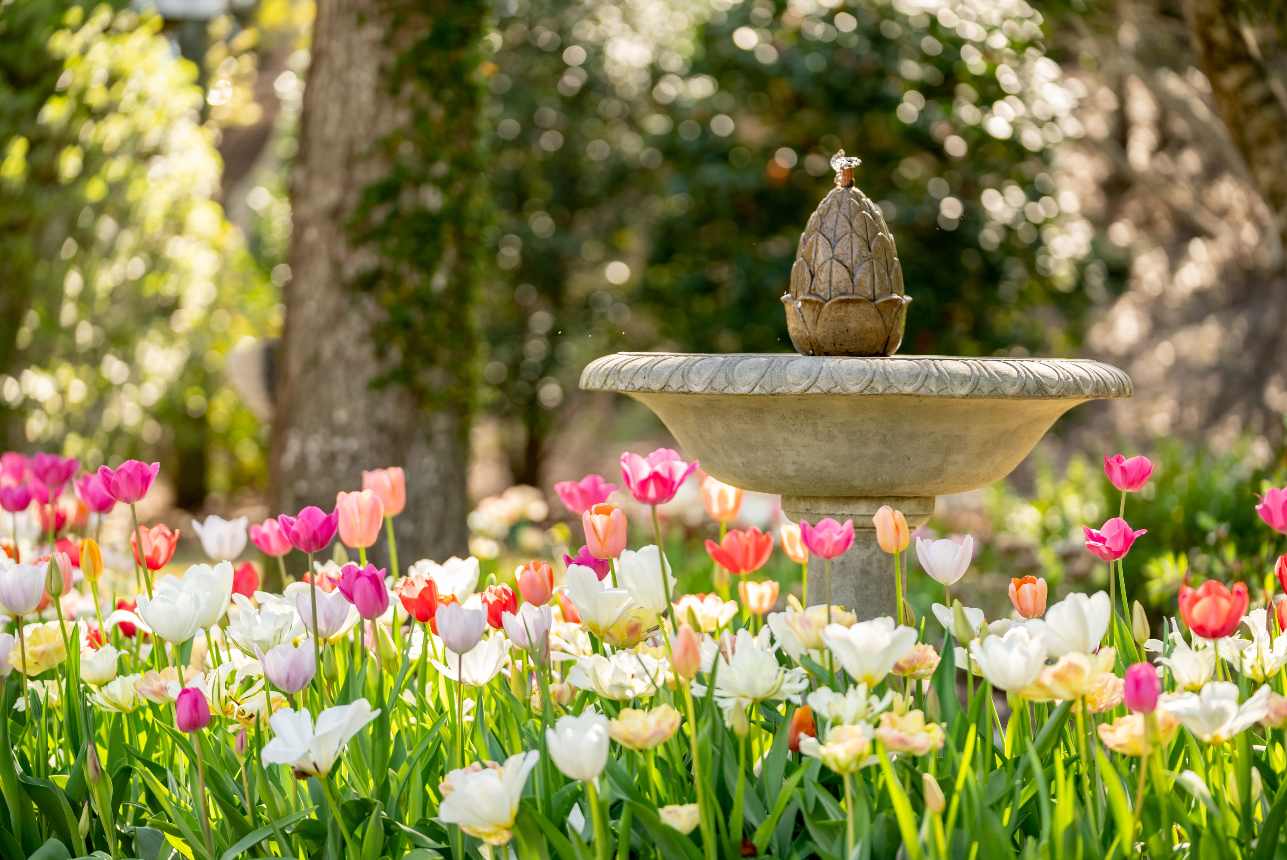 Flower water fountain hotsell