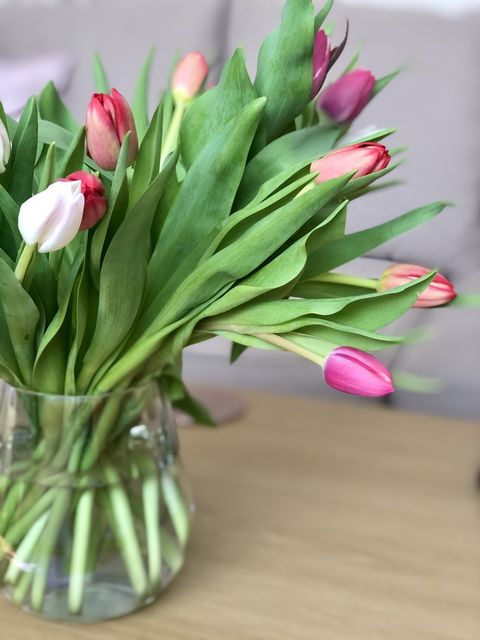 tulips in a glass vase