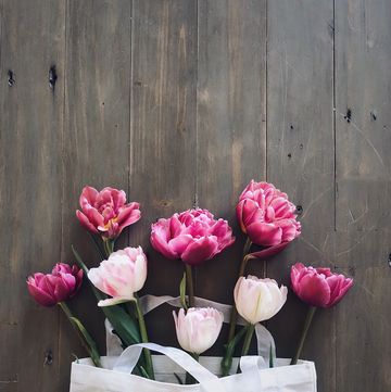 mother's day holiday and observances