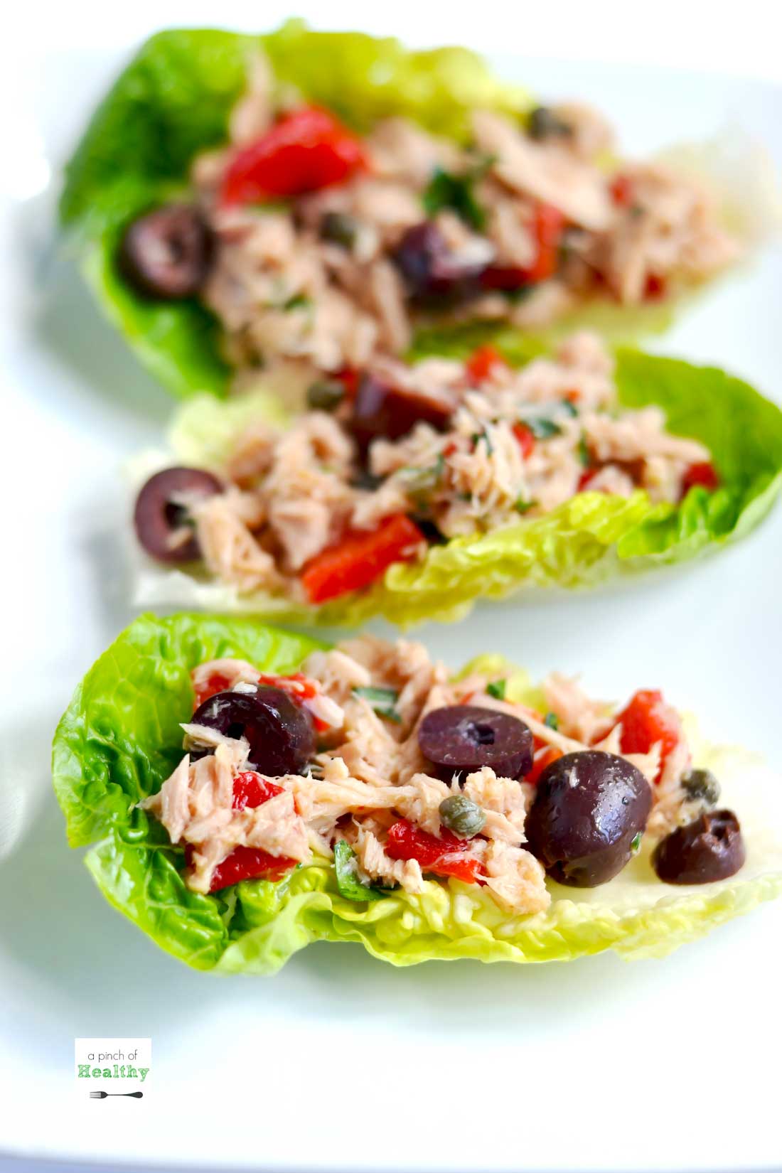 Food, Cuisine, Ingredient, Recipe, Garnish, Leaf vegetable, Dish, Finger food, Produce, Plate, 