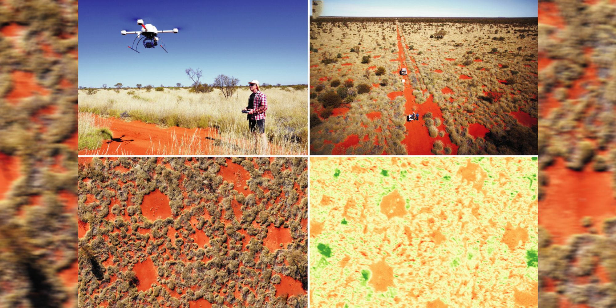 Fairy Circles May Now Exist in 15 Countries. So What Are They?