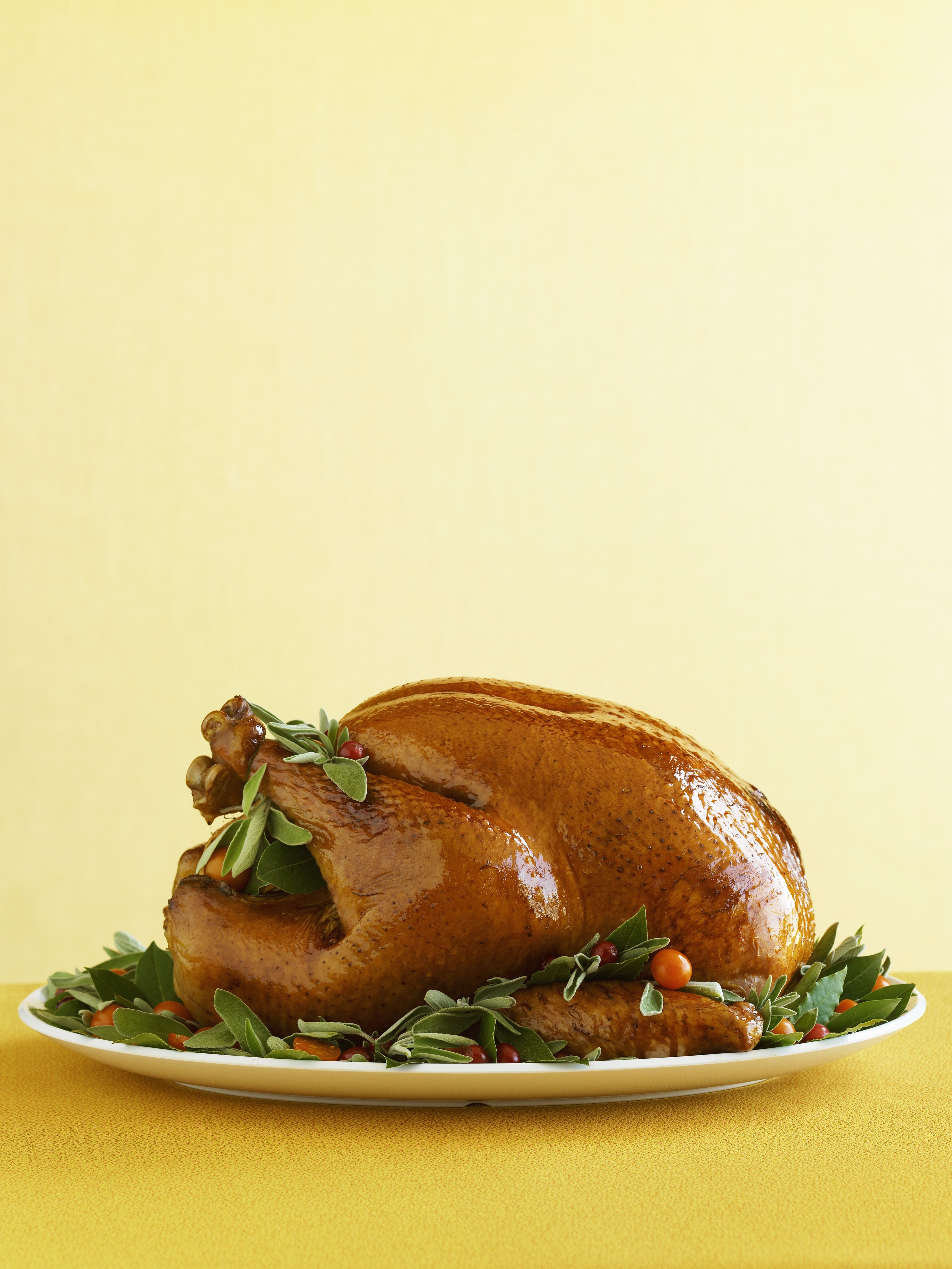 Turkey 911: How to Cook a Frozen Turkey