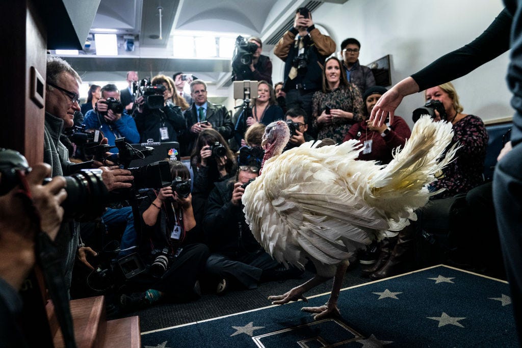 Thanksgiving History — Turkey Pardon Facts