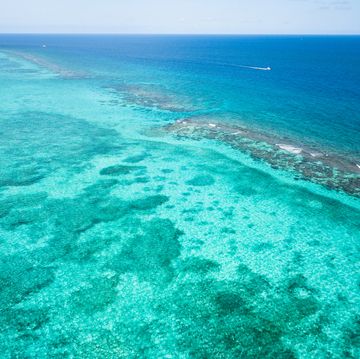 turquoise lagoon and barrier reef, grand cayman, cayman islands
