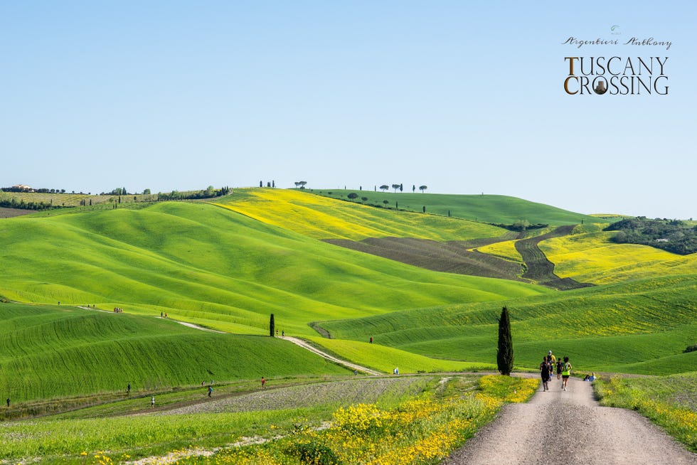 a green hilly landscape