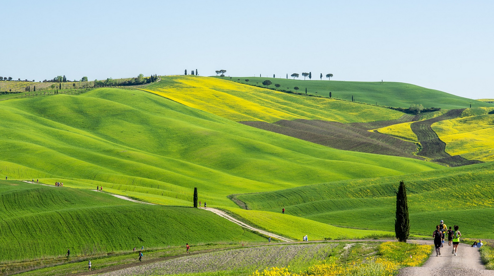 a green hilly landscape