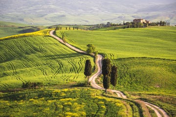 Este ultramaratón no está en la lista de los maratones más bonitos de Europa por nada. Lea todo sobre la travesía de la Toscana aquí.