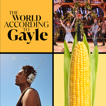 the world according to gayle the world according to gayle
