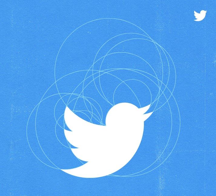 white bird logo on blue background with a framework of circle outlines visible