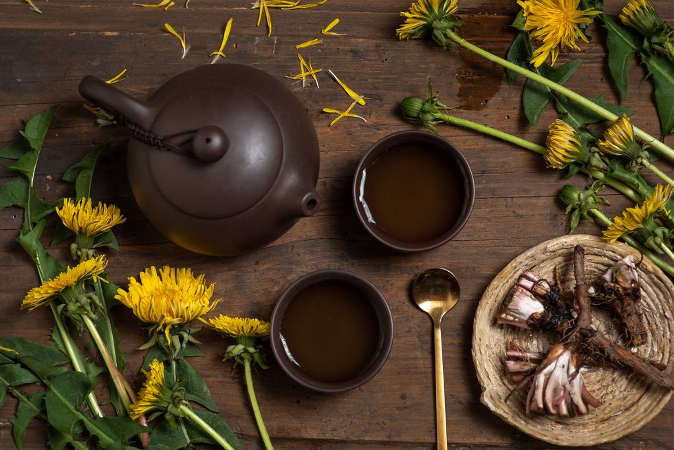 two cups of dandelion tea with dandelion herb leaf, flower and root