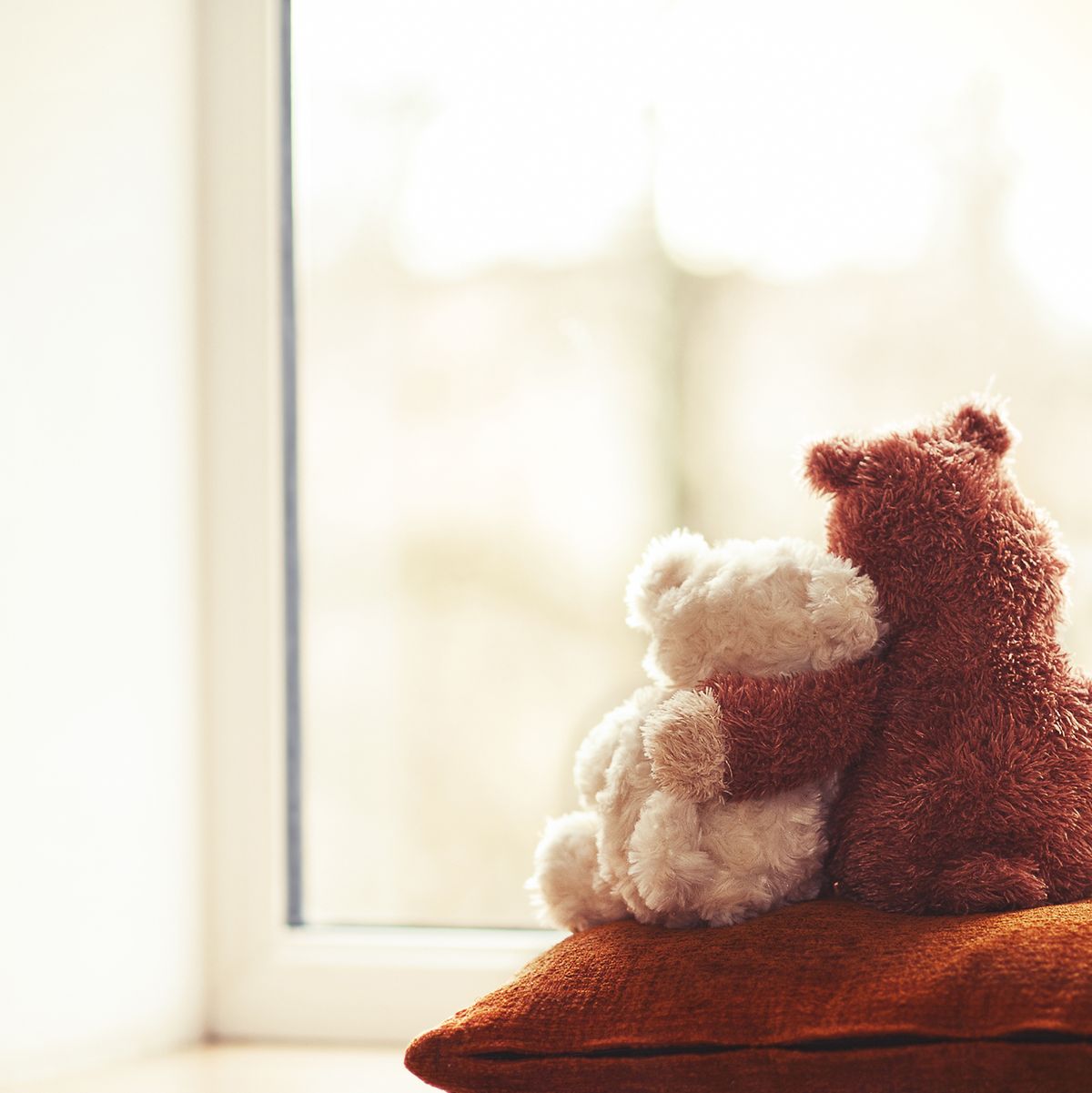 https://hips.hearstapps.com/hmg-prod/images/two-embracing-teddy-bear-toys-sitting-on-window-royalty-free-image-464966359-1548282062.jpg?crop=0.599xw:0.901xh;0.401xw,0.0988xh&resize=1200:*