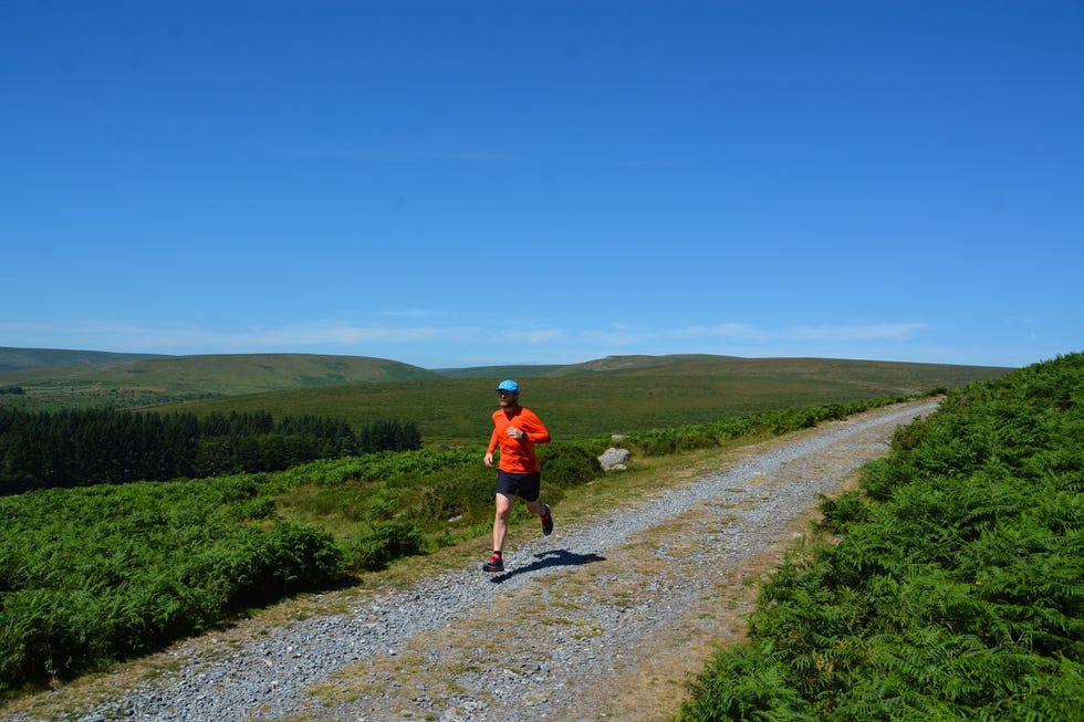 runner on a gravel path in a green landscape under a blue sky